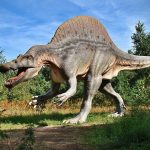 Figurine de tyrannosaure : un jouet ludique et décoratif