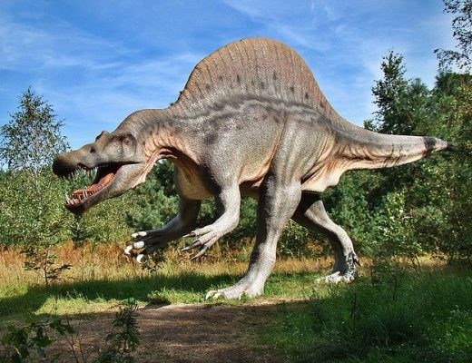 Figurine de tyrannosaure : un jouet ludique et décoratif