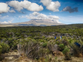 Mont Kilimandjaro en Tanzanie