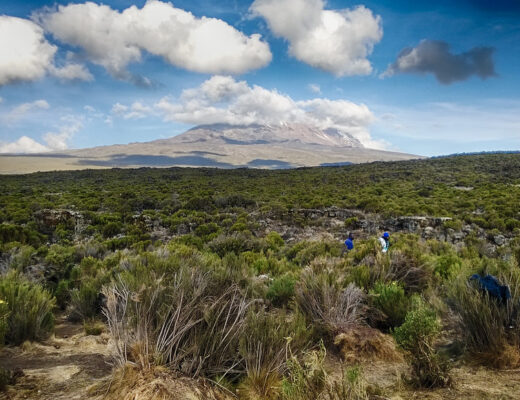 Mont Kilimandjaro en Tanzanie