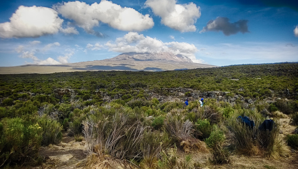 Mont Kilimandjaro en Tanzanie