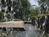 eau de pluie