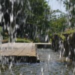eau de pluie