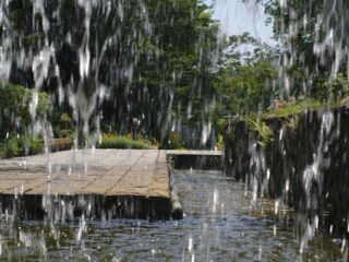 eau de pluie