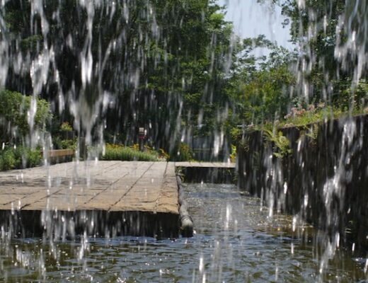 eau de pluie