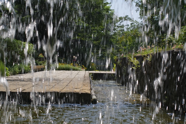 eau de pluie