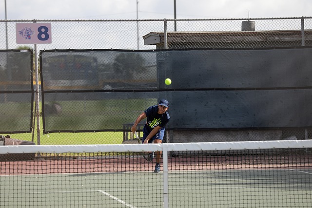 tournois de tennis