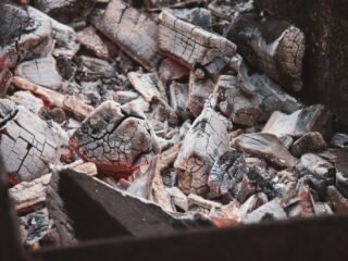 Bistre et restes de bois